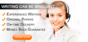 Quality Essay Writing Services